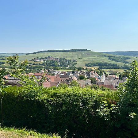 Chez Brigitte Villa Châtillon-sur-Marne Dış mekan fotoğraf
