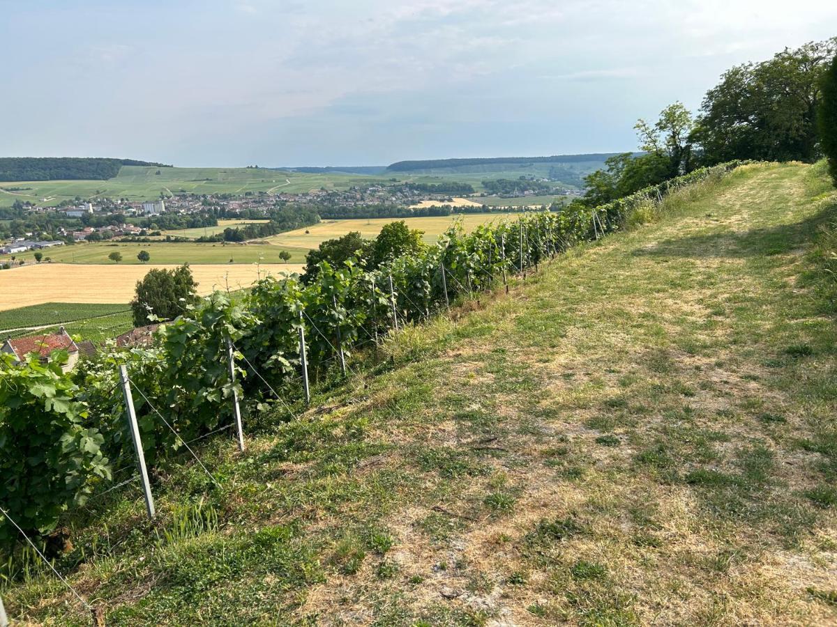 Chez Brigitte Villa Châtillon-sur-Marne Dış mekan fotoğraf