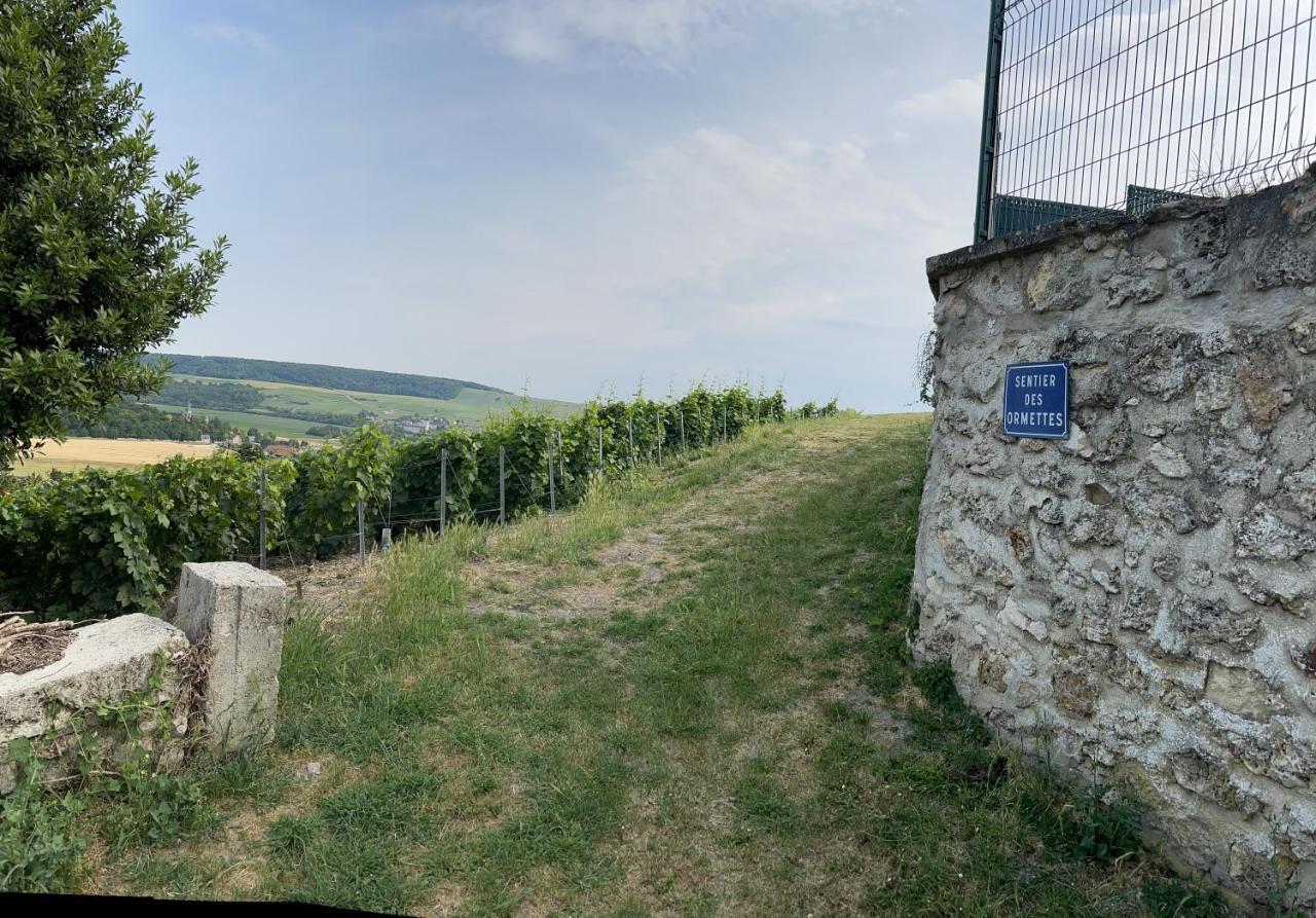 Chez Brigitte Villa Châtillon-sur-Marne Dış mekan fotoğraf