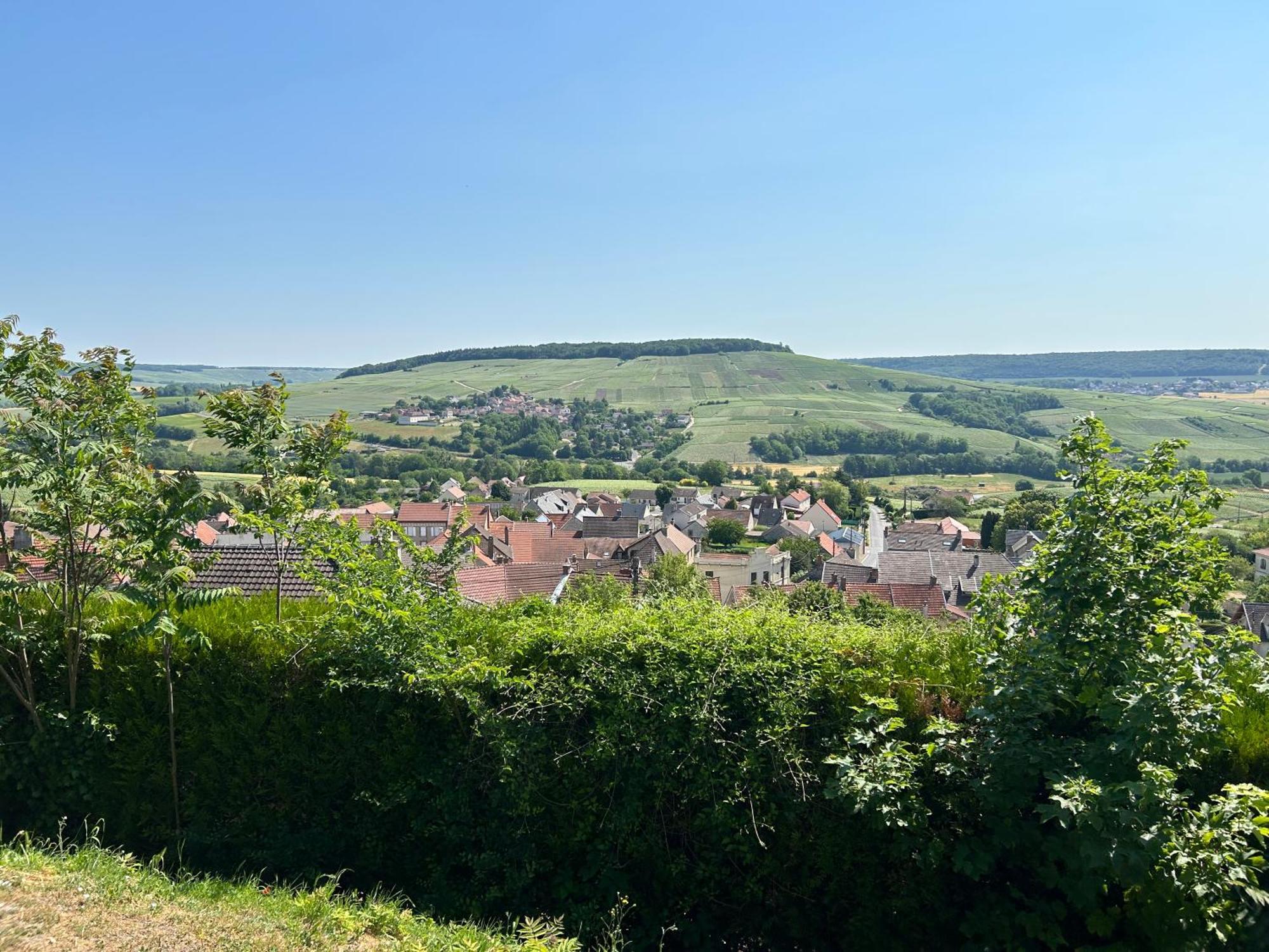 Chez Brigitte Villa Châtillon-sur-Marne Dış mekan fotoğraf
